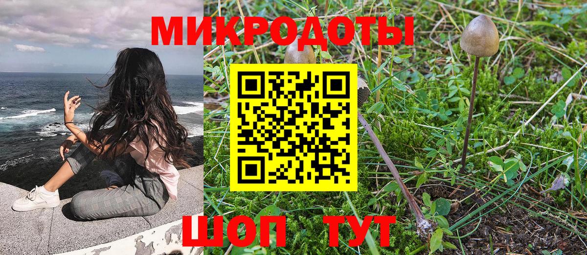 Псилоцибиновые грибы мухоморы  купить наркотики сайты  Гусиноозёрск  Вход с VPN  Псилоцибиновые грибы мицелий 