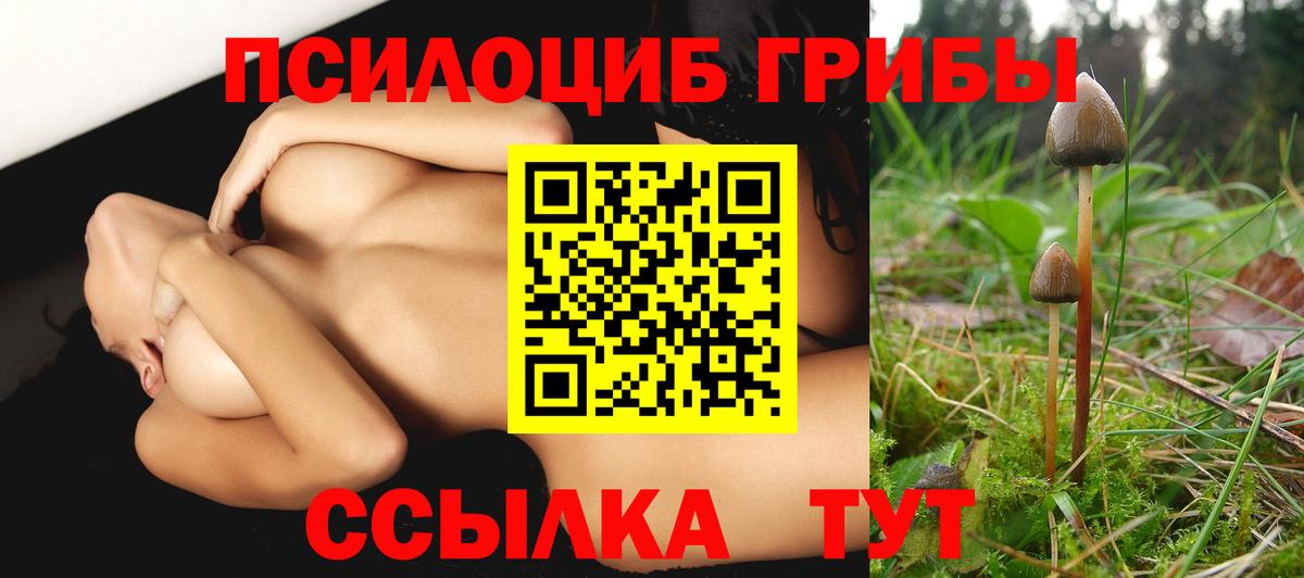 Галлюциногенные грибы MAGIC MUSHROOMS Гусиноозёрск